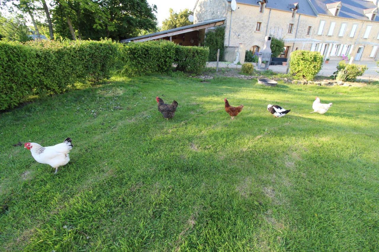 La Ferme Aux Chats Formigny Экстерьер фото